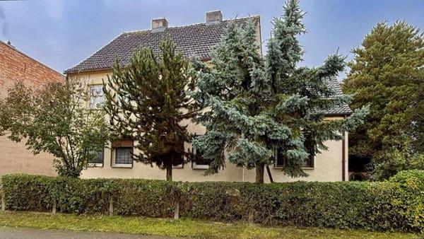 Immobilie in Halle (Saale) - Wohnplatz mit großem Garten in Seeben - Bild 1