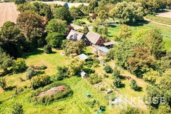 Immobilie in Osten - Besonderes Wohnen unter Reet auf weitläufigem Grundstück - Bild 2