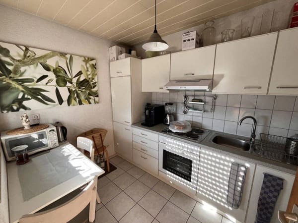 Immobilie in Rielasingen-Worblingen - 1,5 Zimmerwohnung mit Penthouse-Charakter  in Worblingen - Bild 4