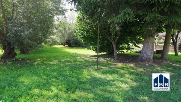 Immobilie in Schönberg - Kleines Eigenheim mit echtem Potential in guter Wohnlage von Schönberg - Bild 3
