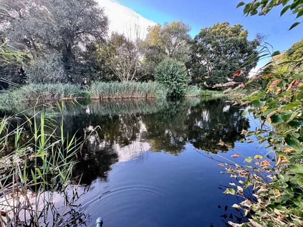 Immobilie in Liebenwalde - +++Wohnen am Wasser, EFH mit Wintergarten, Kamin und direktem Zugang zum Malzer Kanal+++ - Bild 1
