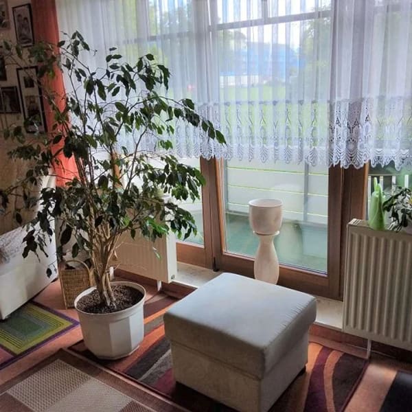 Immobilie in St. Egidien - Solides Investment: 2-Raum-Wohnung im EG in ruhiger Lage - Bild 3