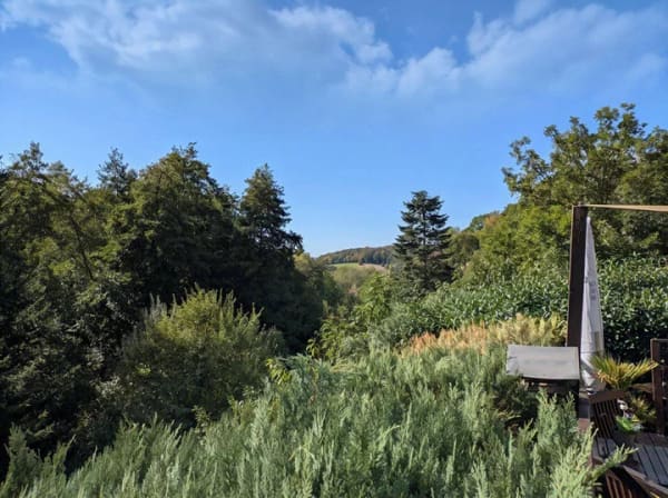 Immobilie in Reichelsheim (Odenwald) - Mehr Natur geht nicht - Wohnen, wo andere Urlaub machen in absoluter Ruhe, umgeben von Wald & Wiese! - Bild 2