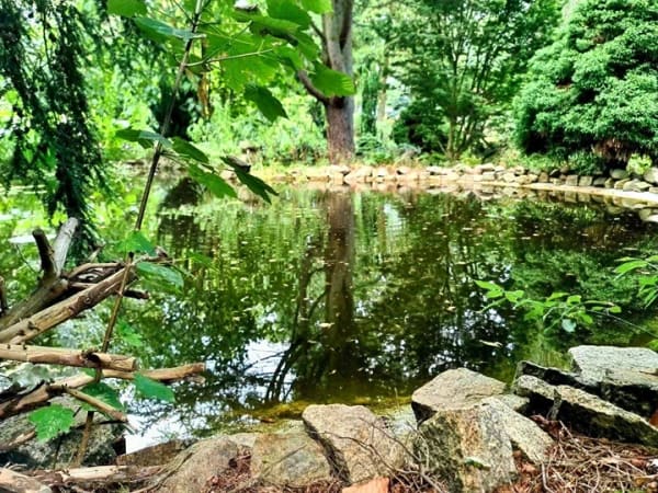 Immobilie in Döbern - Ehemaliger Schaugarten einer Baumschule möchte wiederbelebt werden! - Bild 0