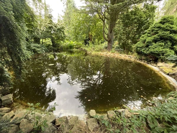 Immobilie in Döbern - Ehemaliger Schaugarten einer Baumschule möchte wiederbelebt werden! - Bild 2