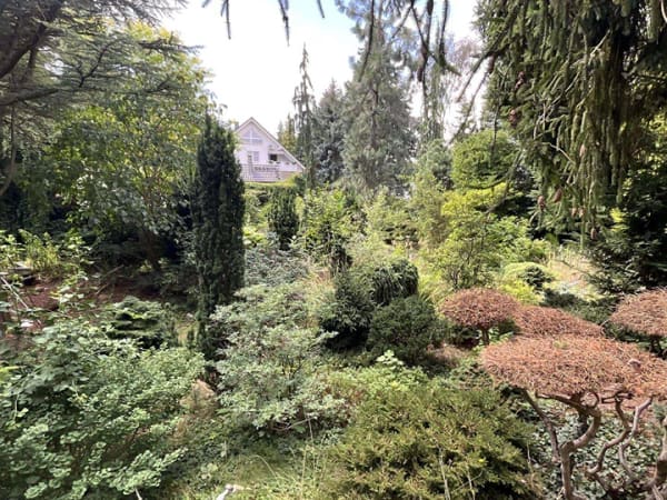 Immobilie in Döbern - Ehemaliger Schaugarten einer Baumschule möchte wiederbelebt werden! - Bild 4