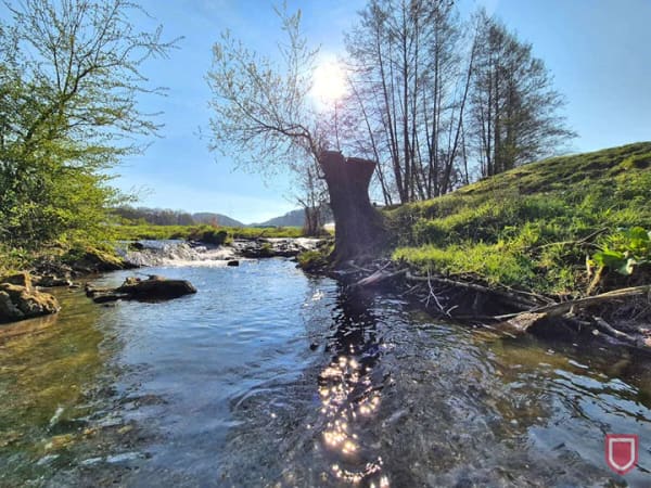 Immobilie in Liebenau - Weite genießen, Ruhe finden - großzügig wohnen in Liebenau - Bild 4