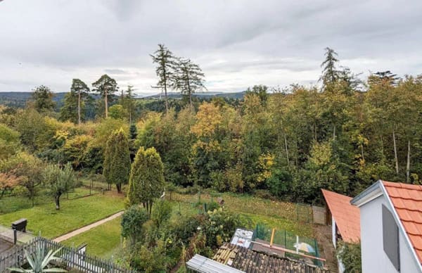Immobilie in Marxzell - Sie genießen die Ruhe? - Dann sind Sie hier richtig - Bild 1