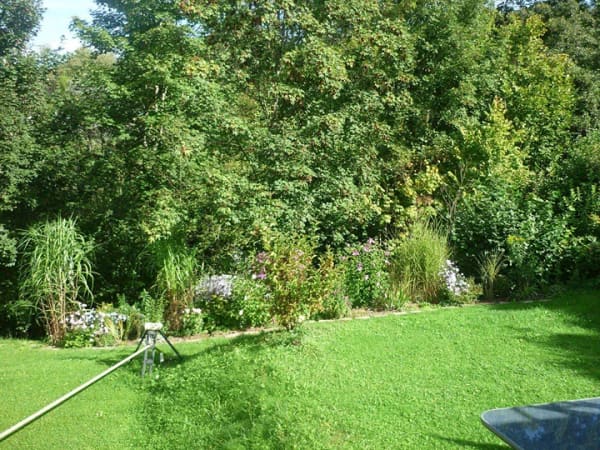 Immobilie in Wittlingen - Doppelhaushälfte im Grünen ohne Makler - Bild 2