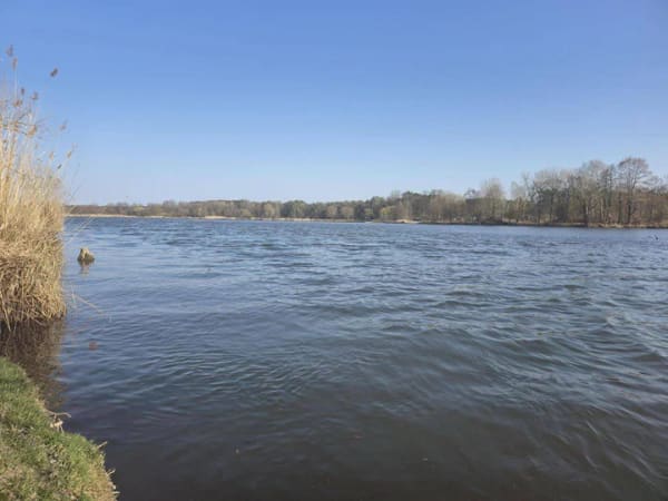 Immobilie in Krausnick-Groß Wasserburg - Ein Ort, der mehr ist als ein Zuhause - Bild 0