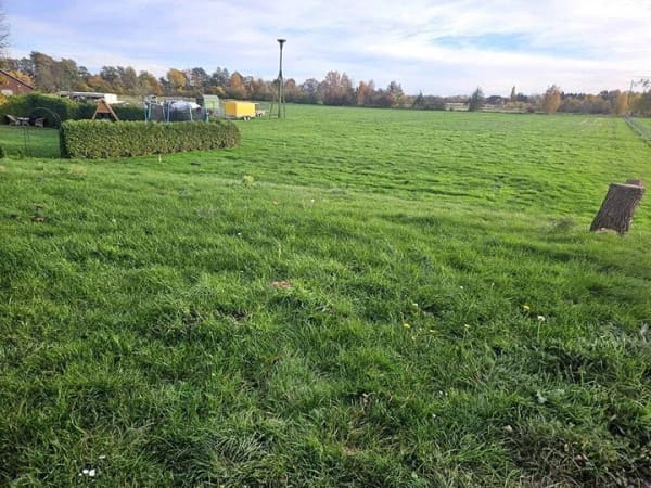 Immobilie in Rehburg-Loccum - Ehemalige Hofstätte mit 3 Wohneinheiten in Rehburg-Loccum - Bild 3