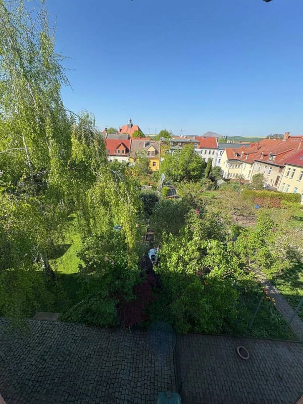 Immobilie in Lutherstadt Eisleben - kleine Wertanlage - Mehrfamilienhaus  - Bild 4