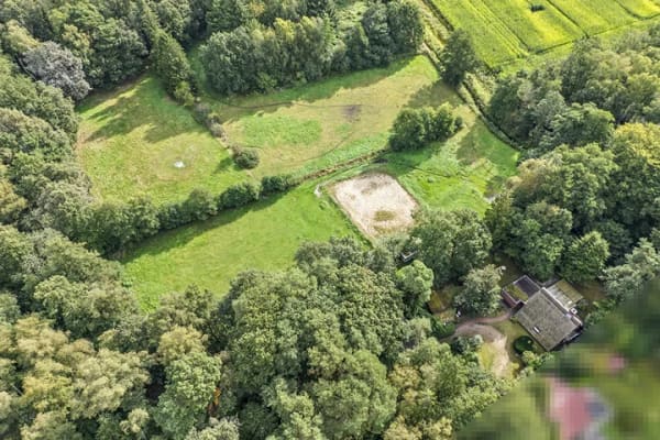 Immobilie in Wistedt - Traum für Pferdeliebhaber: Reetdachhaus mit angrenzenden Wald- und Weideflächen - Bild 0