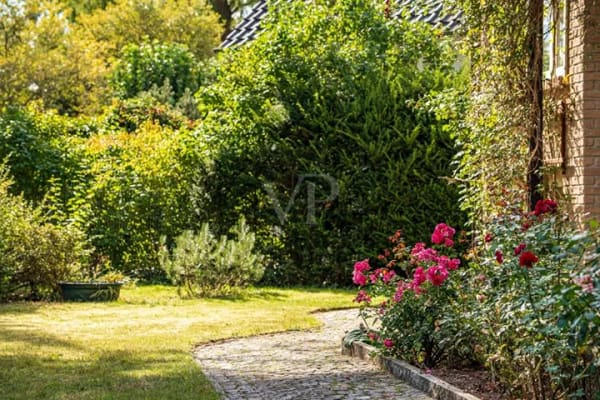 Immobilie in Osloß - Einfamilienhaus freistehend in Osloß - Bild 4