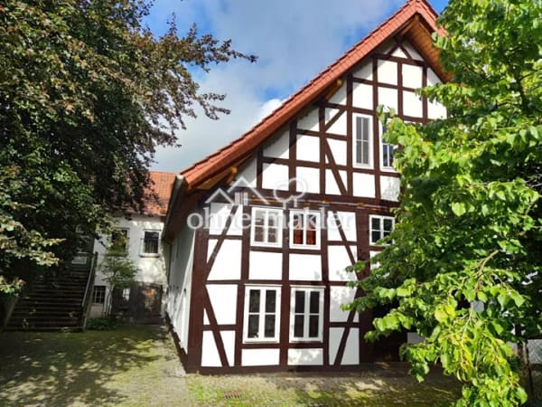 Immobilie in Duingen - Sonstige in Duingen - Bild 1