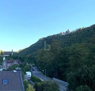 Immobilie in Lichtenstein - VERMIETET MIT SCHLOSSBLICK - Bild 0