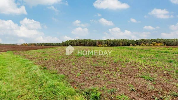 Immobilie in Abenberg - 8,79 ha: Großflächiges Areal für Landwirtschaft, Forst und Neugestaltung - Bild 1
