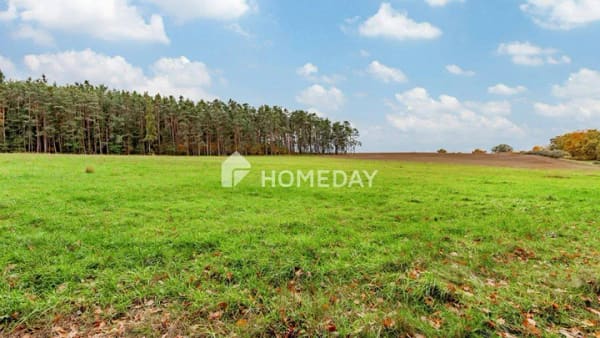 Immobilie in Abenberg - 8,79 ha: Großflächiges Areal für Landwirtschaft, Forst und Neugestaltung - Bild 2