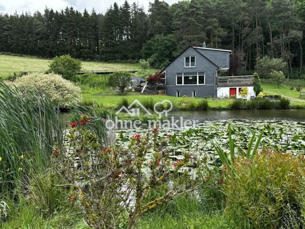Immobilie in Kirchberg - Einfamilienhaus freistehend in Kirchberg (Hunsrück) (Hecken) - Bild 1