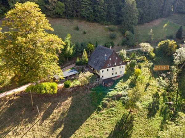 Immobilie in Gütenbach - Haus in Gütenbach - Bild 0