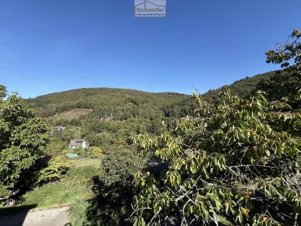 Immobilie in Iserlohn - Historisches Anwesen mit Wald, Weiden und einzigartiger Aussicht sucht Handwerker - Bild 3