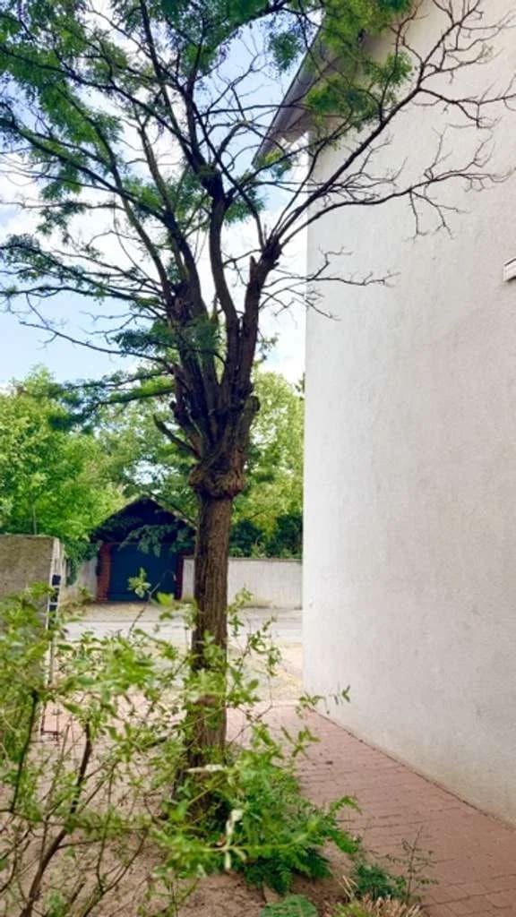Immobilie in Münster (Hessen) - Schöne 4-Zi.-Wohnung mit Balkon in beliebter Lage von Münster-Altheim zu verkaufen "Provisionsfrei" - Bild 3