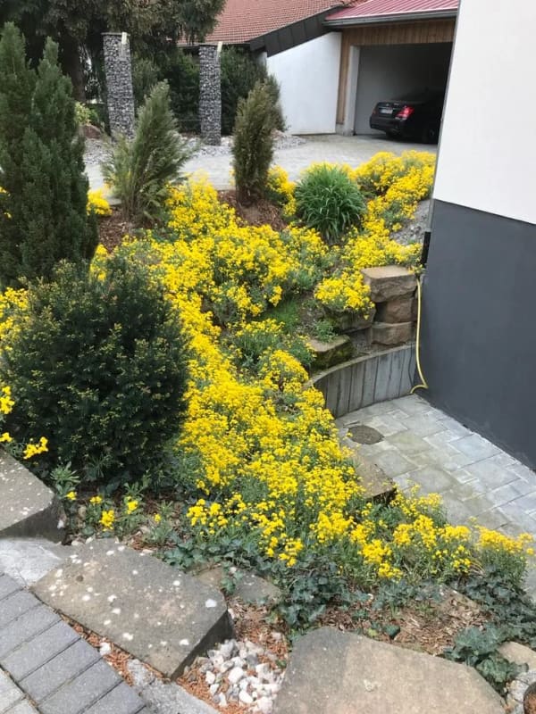 Immobilie in Walddorfhäslach - Provisionsfrei: Klimatisierte 190 m² Wohnung in Walddorfhäslach - Bild 0