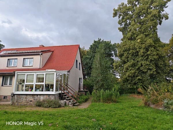 Immobilie in Gnoien - Großzügiges Einfamilienhaus mit Gartenparadies in ruhiger Lage von Dalwitz - Bild 3