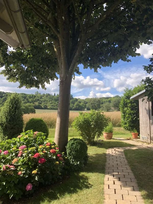 Immobilie in Jagsthausen - Top Einfamilienhaus mit Garten,  Terrasse und Wintergarten Jagsthausen - Bild 3