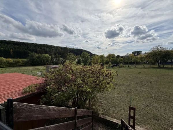 Immobilie in Wellendingen - FAMILIENPARADIES MIT TRAUMAUSSICHT — Haus & Scheune mit Pferdehaltung auf über 4.000 m² - Bild 2