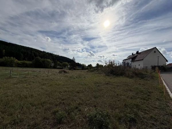 Immobilie in Wellendingen - FAMILIENPARADIES MIT TRAUMAUSSICHT — Haus & Scheune mit Pferdehaltung auf über 4.000 m² - Bild 4