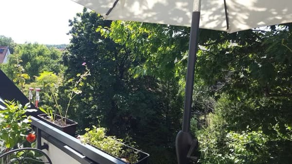 Immobilie in Notzingen - Stilvolle und renovierte Wohnung mit zwei Zimmern, Balkon und EBK  - Bild 3