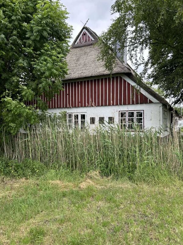 Immobilie in Nortorf - Sanierte Reetdachkate mit ELW auf ca. 1.839 m² Grundstück in Alleinlage - Provisionsfrei - Bild 1