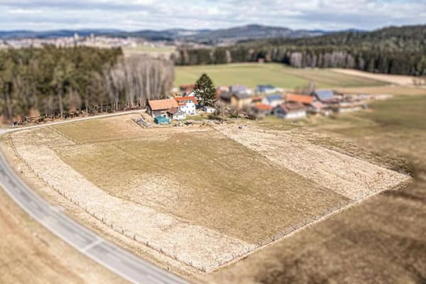 Immobilie in Treffelstein - 1,7ha - Fast Alleinlage - Mehrfamilienhaus mit 2 Wohnungen - Bild 0