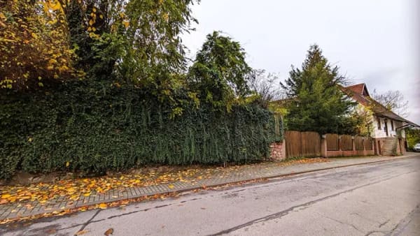Immobilie in Mörlenbach - Leben, Arbeiten, Entfalten - ein Hof voller Möglichkeiten - Bild 1