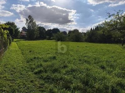 Immobilie in Langenleuba-Niederhain - 9.900 QM LAND & AUSBAUPOTENZIAL - Bild 1