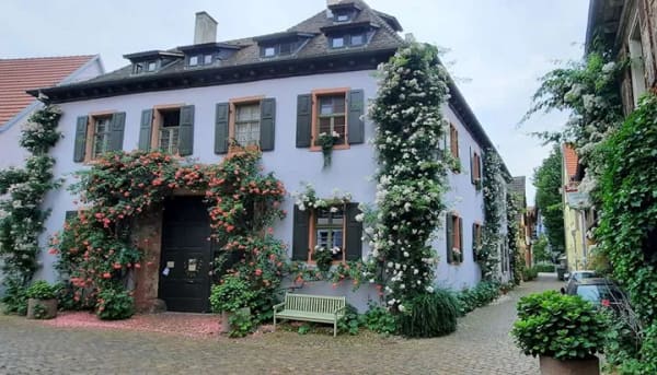 Immobilie in Ladenburg - Historisches Wohneigentum mit Loftcharakter · ca. 190 m² - Flexible Raumaufteilung - Bild 0
