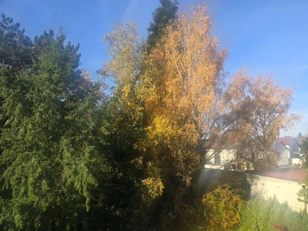 Immobilie in Gochsheim - für Eigennutzer mit  Ruhe Blick ins Grüne - Bild 1