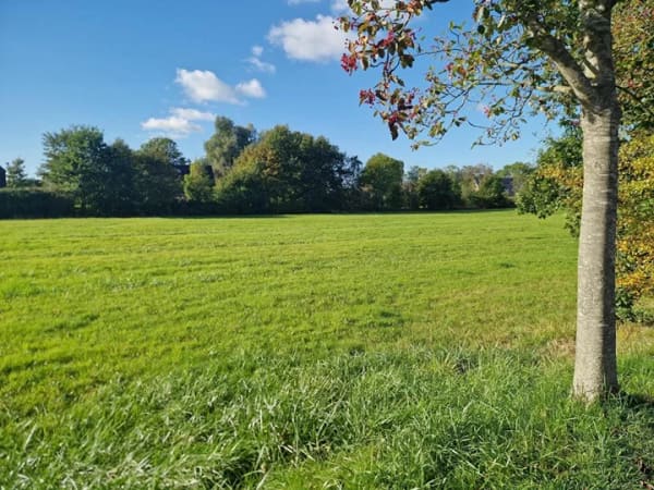 Immobilie in Hattstedt - Doppelhaushälfte in Hattstedt - Bild 3