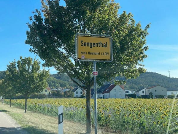 Immobilie in Sengenthal - Einfamilienhaus Neubau in Neumarkt- Sengenthal in Top Wohnlage - Bild 1