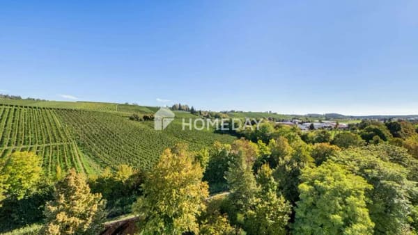 Immobilie in Meersburg - Unverbaubarer Panoramablick mit Seeblick & Weinberge direkt von der eigenen Loggia - Bild 1