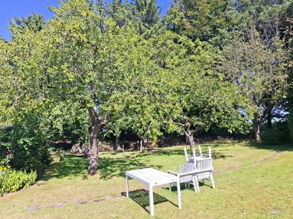 Immobilie in Rieseby - Einfamilienhaus freistehend in Rieseby - Bild 2
