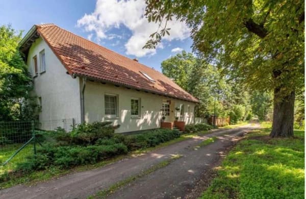 Immobilie in Gollenberg - Wohnen mit Charakter: Großzügiges Einfamilienhaus in Gollenberg - Bild 0