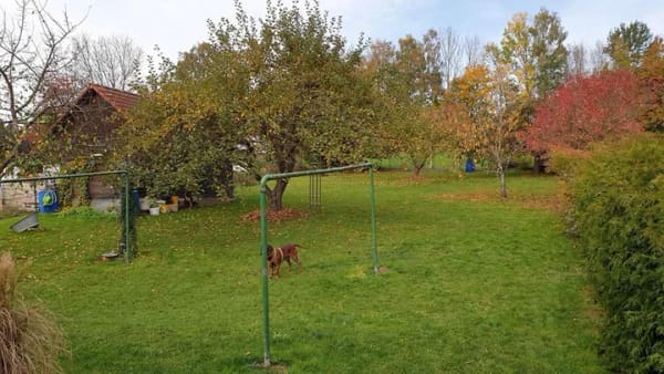 Immobilie in Allershausen - Einfamilienwohnhaus mit optionalem Freizeitgrundstück - Bild 2