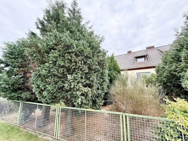 Immobilie in Annaburg - Haus mit Hof, Garten und viel Fläche - Bild 4