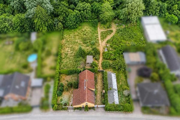 Immobilie in Grimmen - Einfamilienhaus freistehend in Grimmen - Bild 2
