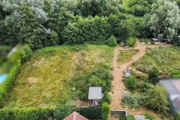 Immobilie in Grimmen - Einfamilienhaus freistehend in Grimmen - Bild 3