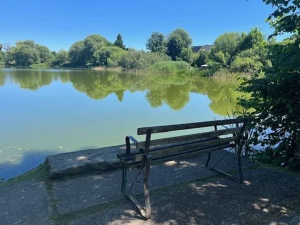 Immobilie in Tessin - Wie Glücksklee - Ich kenn´ ein Haus am kleinen See - Bild 1