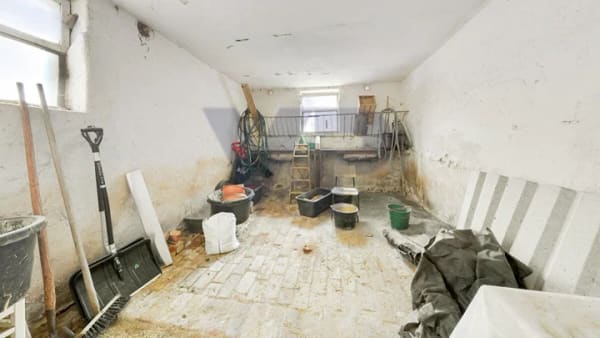 Immobilie in Saalburg-Ebersdorf - PROVISIONSFREI* – Wenn ein großer Garten einfach nicht groß genug ist: Hof mit 2,5 Hektar! - Bild 3