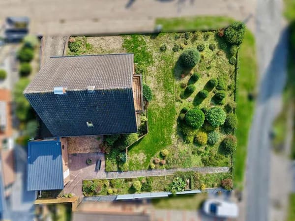 Immobilie in Neuenhaus - Großzügiges Einfamilienhaus auf Eckgrundstück in Neuenhaus - Bild 4